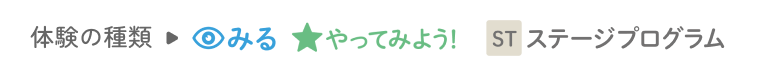 体験の種類→みる やってみよう ステージプログラム
