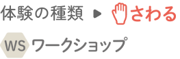 体験の種類→さわる ワークショップ