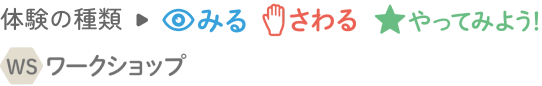 体験の種類→みる さわる やってみよう ワークショップ