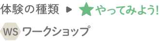 体験の種類→やってみよう ワークショップ